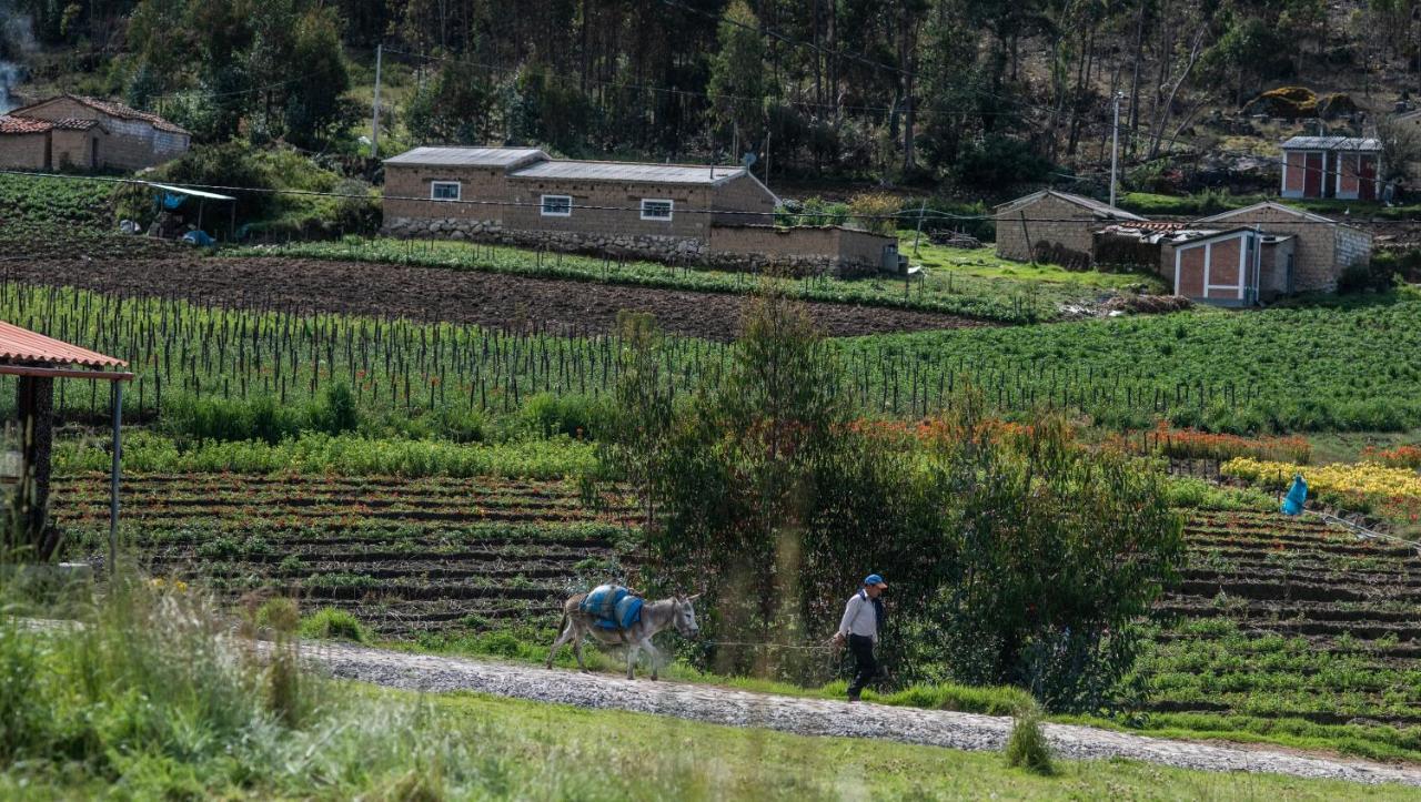 Tullpa Rumy Yungay ภายนอก รูปภาพ