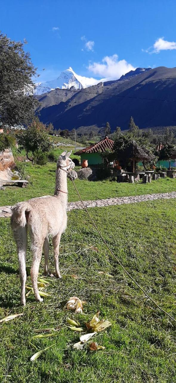 Tullpa Rumy Yungay ภายนอก รูปภาพ
